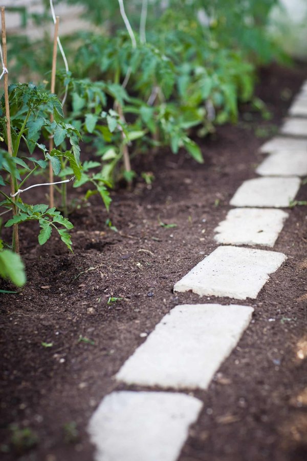 Les avantages de la permaculture et comment l'appliquer dans votre jardin