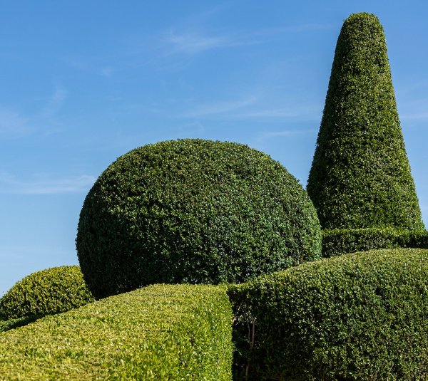 Comment créer un espace de jeux pour enfants dans votre jardin