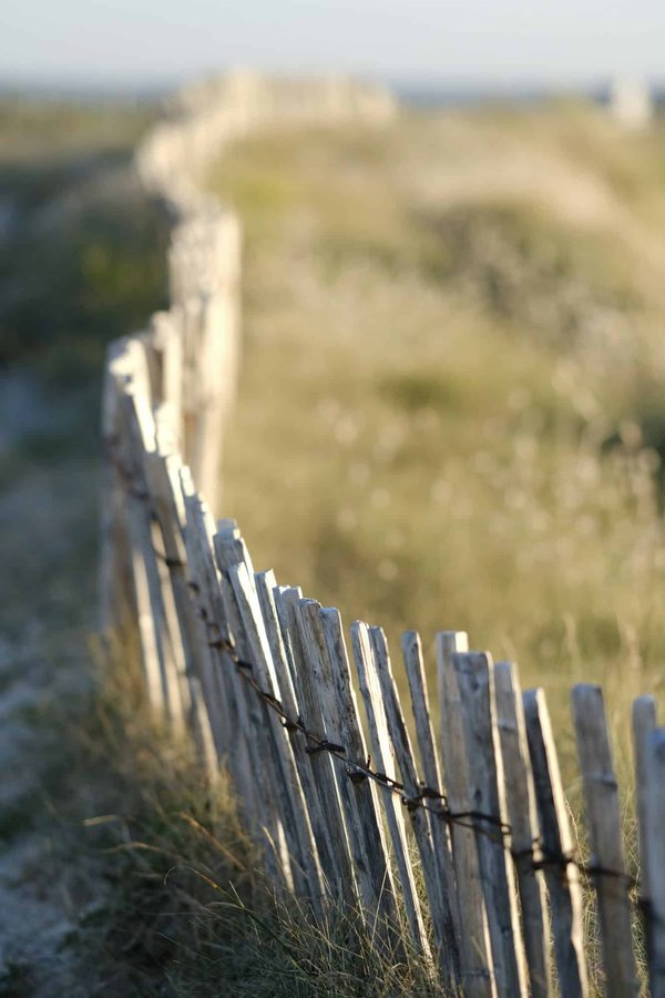 Astuces pour bien choisir les dimensions de ses croisillons bois